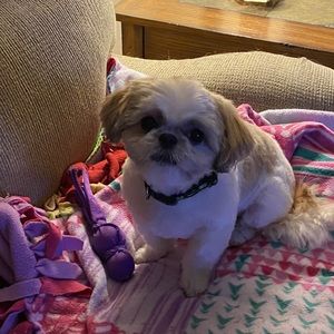 Meet your Posher, Kristen